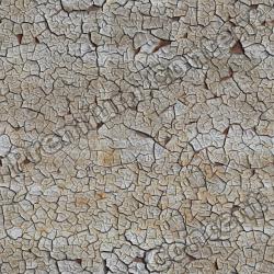 High Resolution Seamless Textures 0066